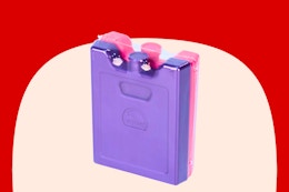 Target Igloo ice packs