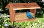 bird seeds in a bird house with a blue bird outside 