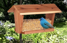 bird seeds in a bird house with a blue bird outside 