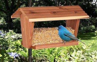 bird seeds in a bird house with a blue bird outside