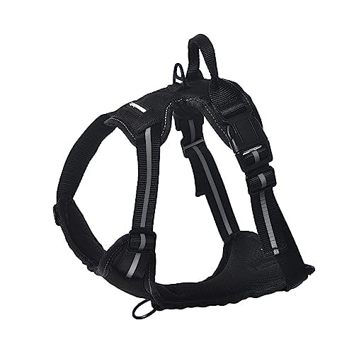Amazon Basics Dog Harness