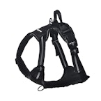 Amazon Basics Dog Harness