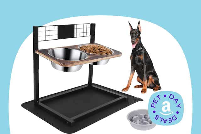 Elevated Dog Bowls and Slow Feeder Set, Just $27 for Amazon Pet Day card image