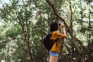 best binoculars for the money - Woman looking around in nature with binoculars
