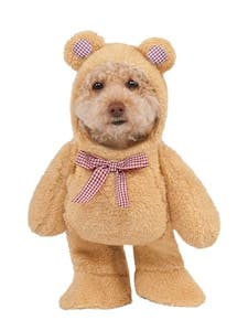 Rubies Teddy Bear Costume, Medium