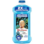 Mr. Clean All Purpose Cleaner