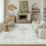 Area Rug