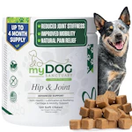 Hip & Joint Supplement