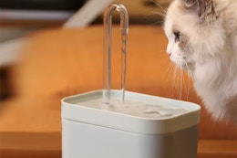 AliExpress Pet Water Fountain, USB Plug, Green, 1.5 L