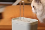 AliExpress Pet Water Fountain, USB Plug, Green, 1.5 L