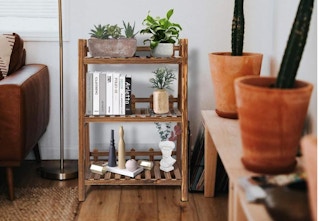 walmart 3 tier plant stand 2023 02 1675607506 1675607506