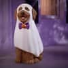 Halloween Goldendoodle Ghost Greeter