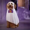 Halloween Goldendoodle Ghost Greeter