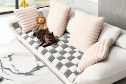 amazon couch cover