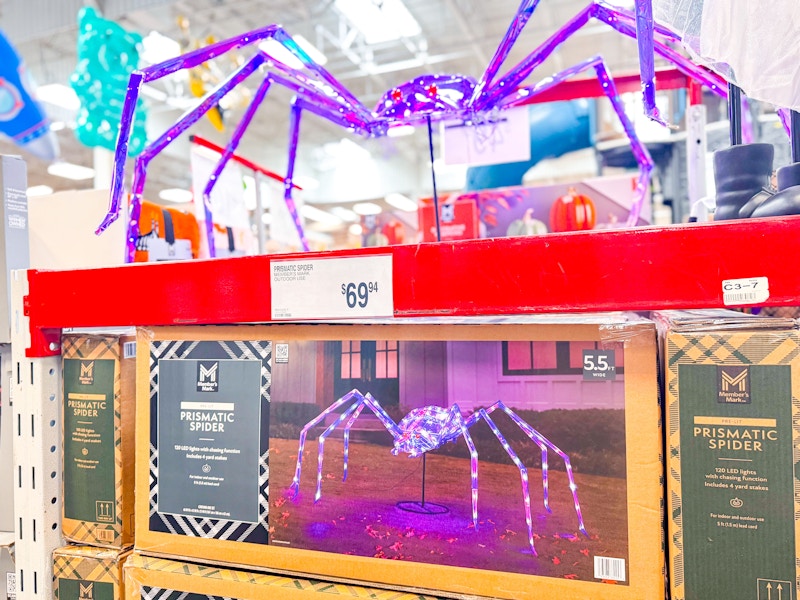 sams-club-halloween-spider