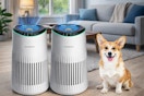 air purifiers