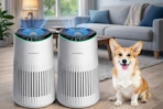 air purifiers