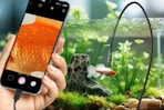 borescope being used in fish tank