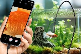 borescope being used in fish tank