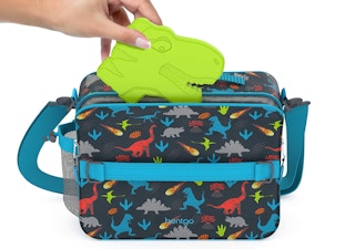 A person putting a dinosaur ice pack in a lunch box