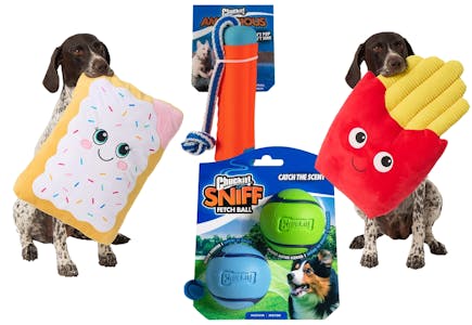 4 Dog Toys