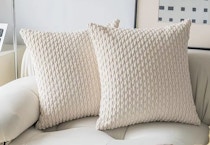 Decorative Pillow Cover
