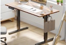 wayfair electric desk