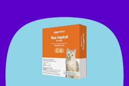 Amazon Basics Topical Flea Treatment for Cats, as Low as $7.90 on Amazon card image