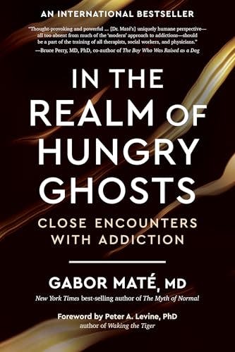 In the Realm of Hungry Ghosts eBook