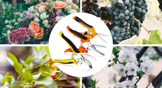 amazon 3 pack garden shears 1684159814 1684159814