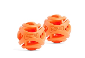 Chuckit Fetch Balls