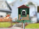 birds at a bird feeder with a camera outside