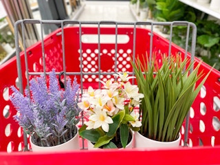 target faux plants 2023 01 1679413294 1679413294