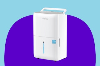 Stock image of the Waykar Home Dehumidifier