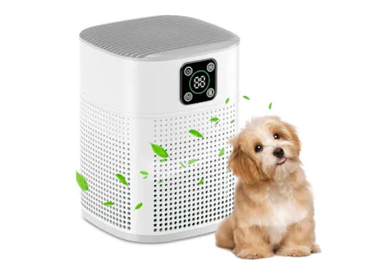 Air Purifier