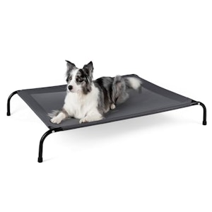 Elevated Dog Bed for Large Dogs