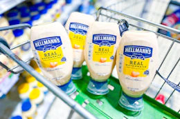 publix-hellmanns-mayo