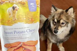 a cute dog next to caledon farms sweet potato chews