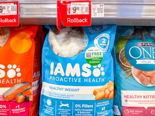 walmart-iams-cat-food-kcl-3