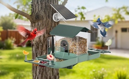 a dual bird feeder on a tree outside