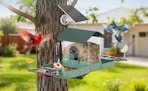 a dual bird feeder on a tree outside