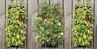 until gone indooroutdoor organic hanging fruit veggie garden kits featured image 2023 1679941645 1679941646