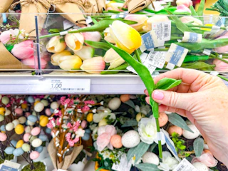 target-dollar-spot-february-32