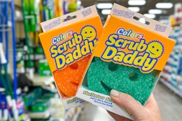 hand holding scrub daddy sponges