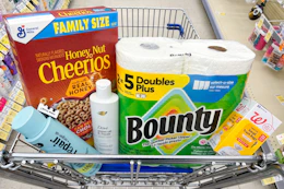 walgreens groceries in shopping cart