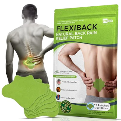 Warming Herbal Back Pain Patches, 12 ct