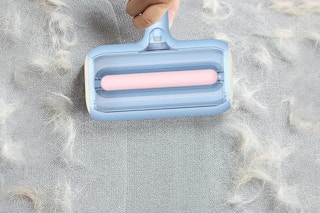 pet hair removal tool