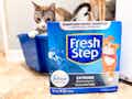 a bag of fresh step cat litter in front of a cat in a cat box