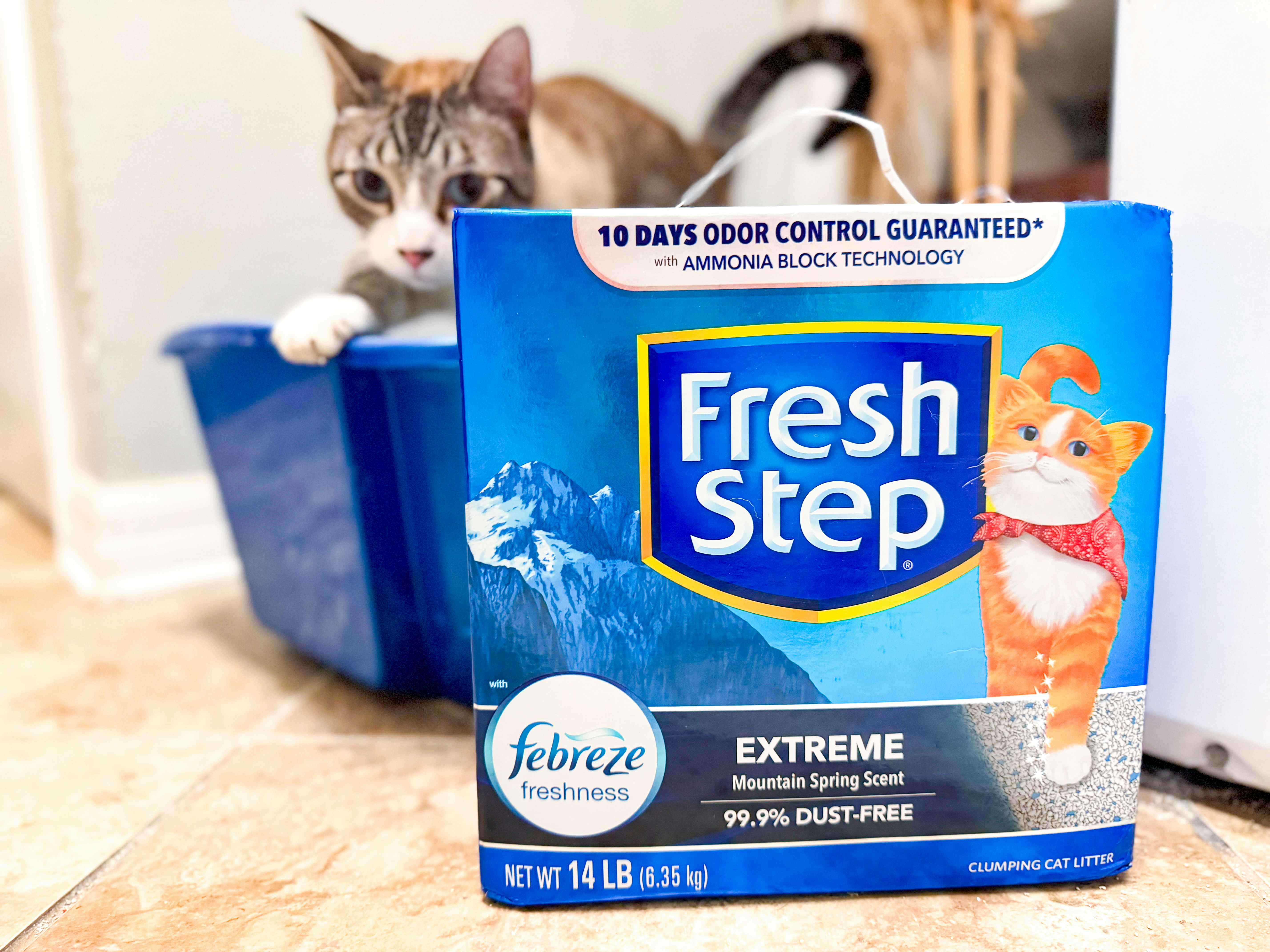 Amazon’s 30 New Pet Deals Worth Knowing About — Including 50% Off Cat Litter
