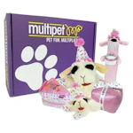 Multipet Birthday Dog Toy 5-Pack